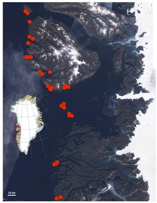 Deep Penetration of Kelps Offshore Along the West Coast of Greenland